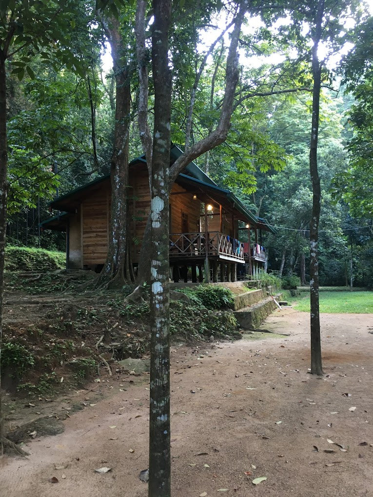 Paradiesischer Ökogarten, Kithulgala