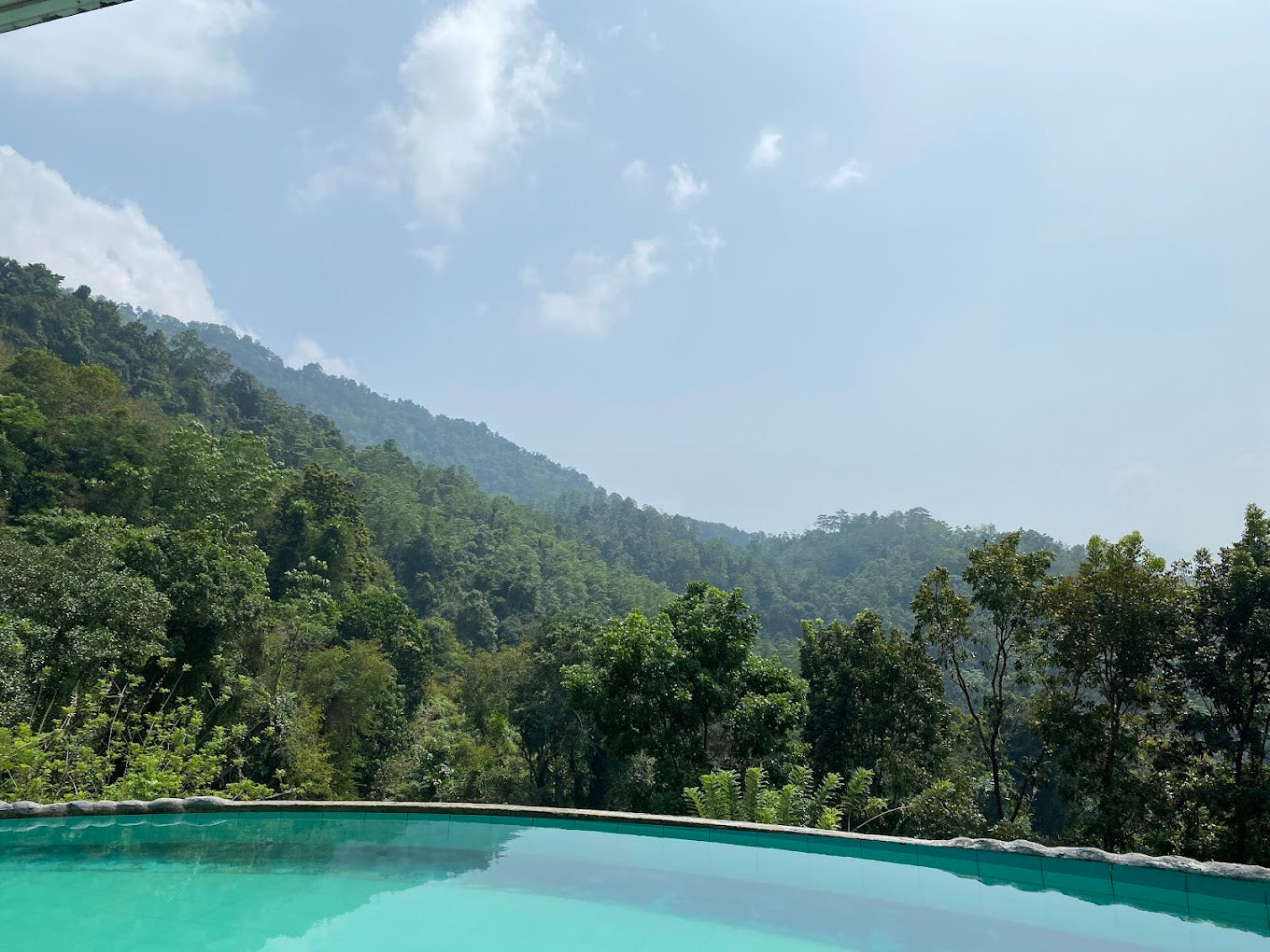 Paradiesischer Ökogarten, Kithulgala