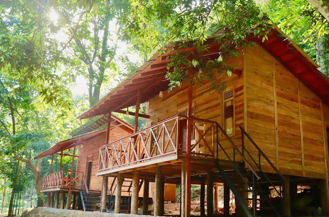Paradiesischer Ökogarten, Kithulgala