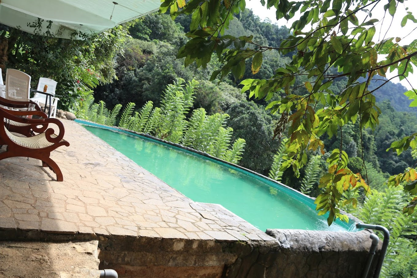 Paradiesischer Ökogarten, Kithulgala