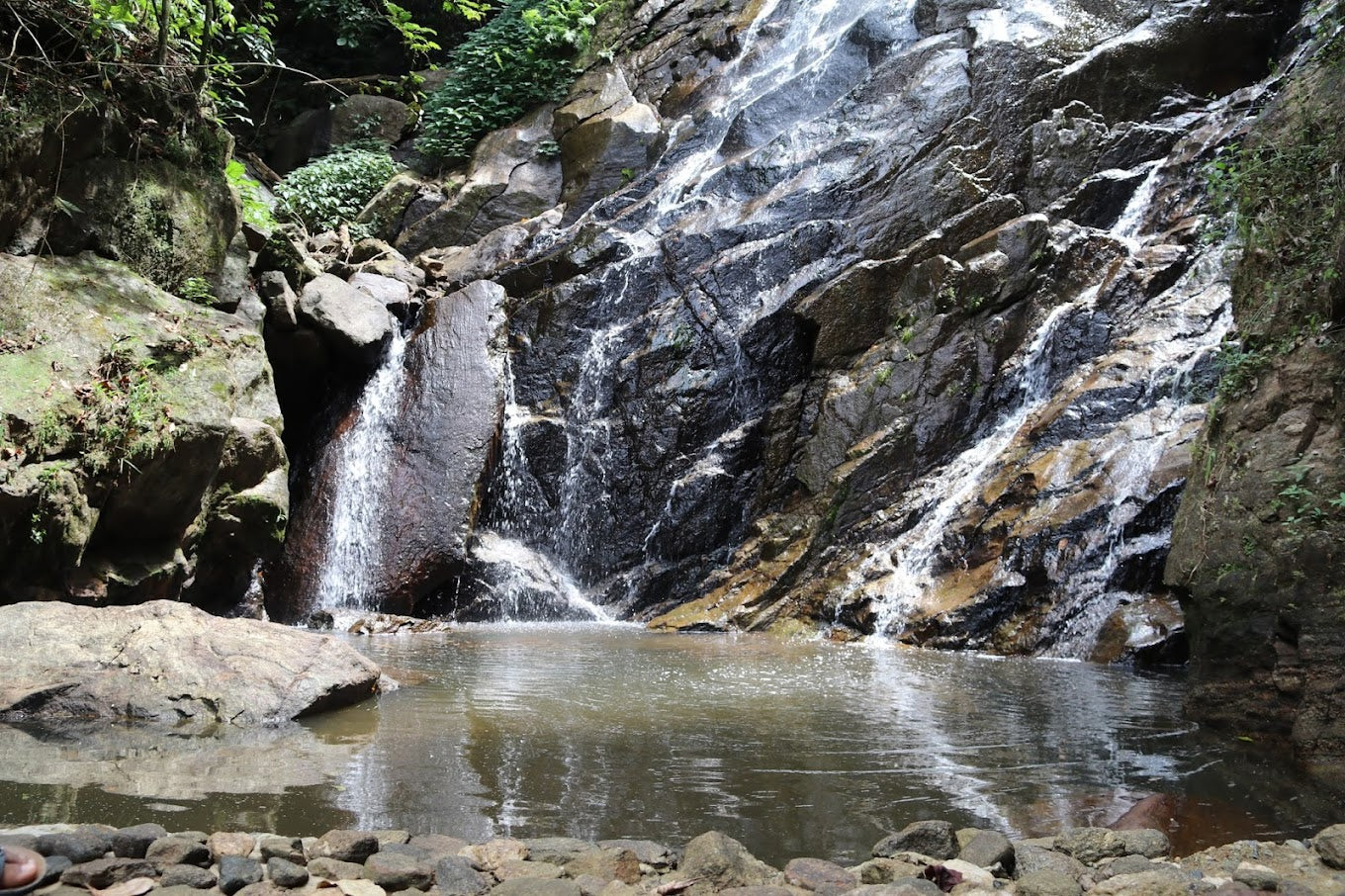 Paradiesischer Ökogarten, Kithulgala