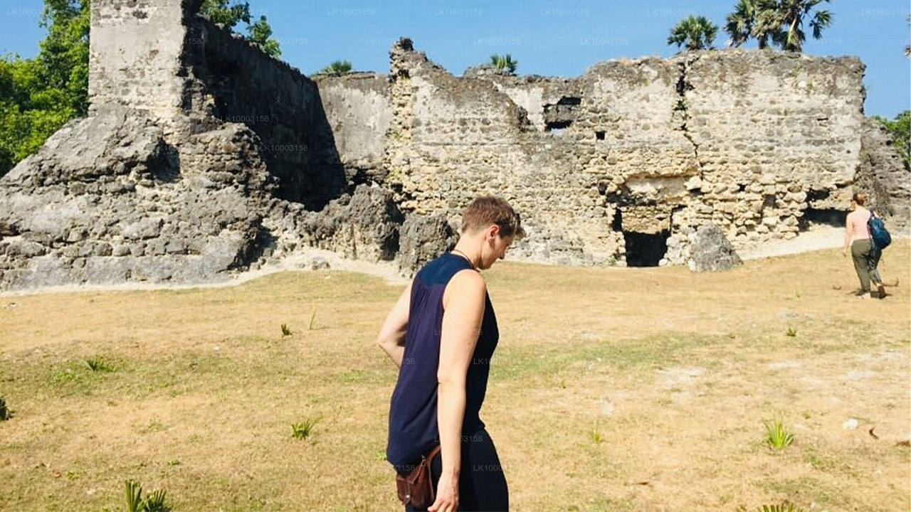 Delft und Jaffna Tour