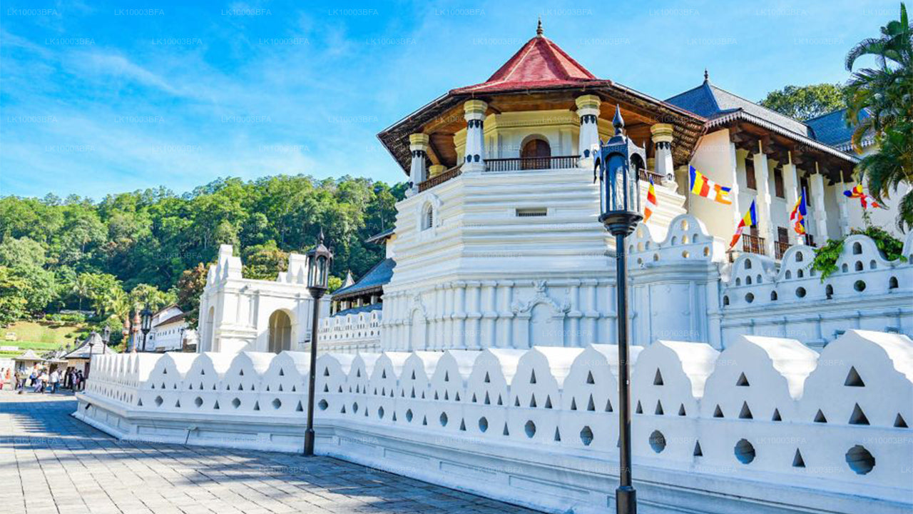 Buddhistische Pilgerreise (7 Tage)
