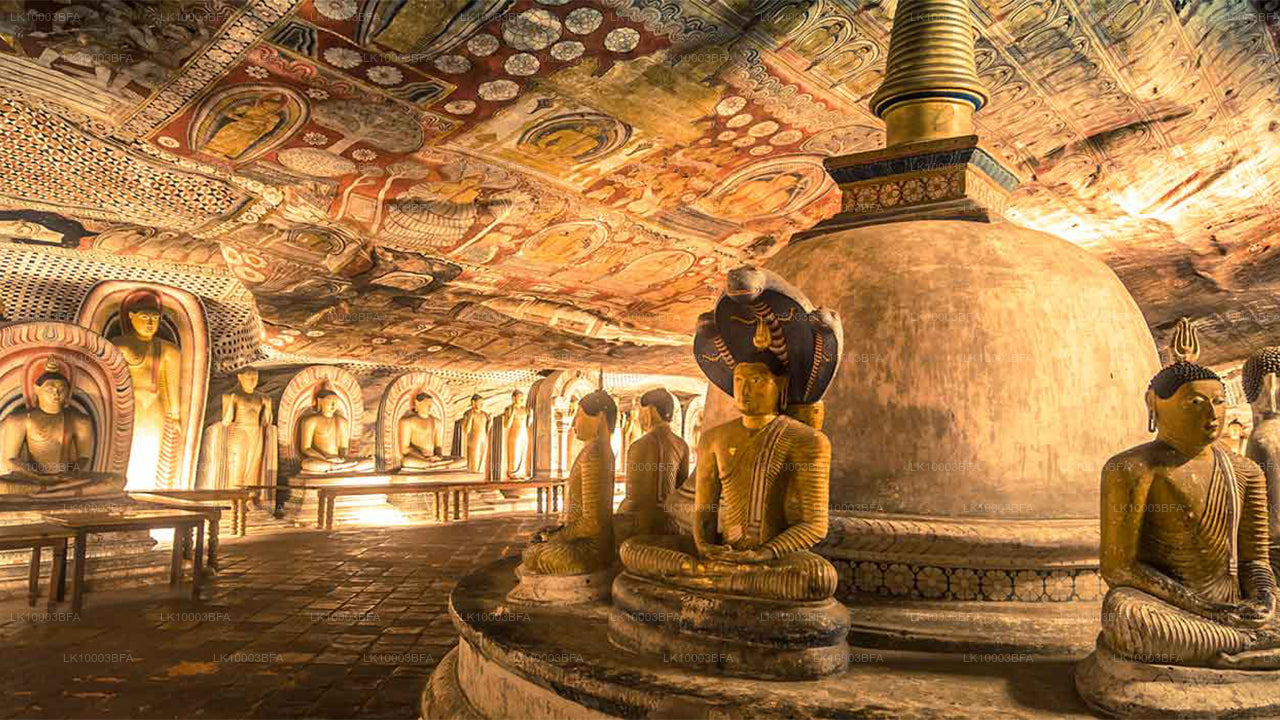 Buddhistische Pilgerreise (7 Tage)