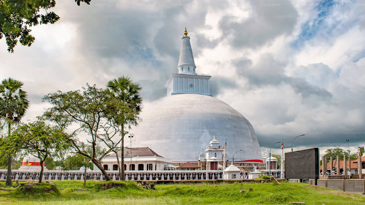 Buddhistische Pilgerreise (7 Tage)