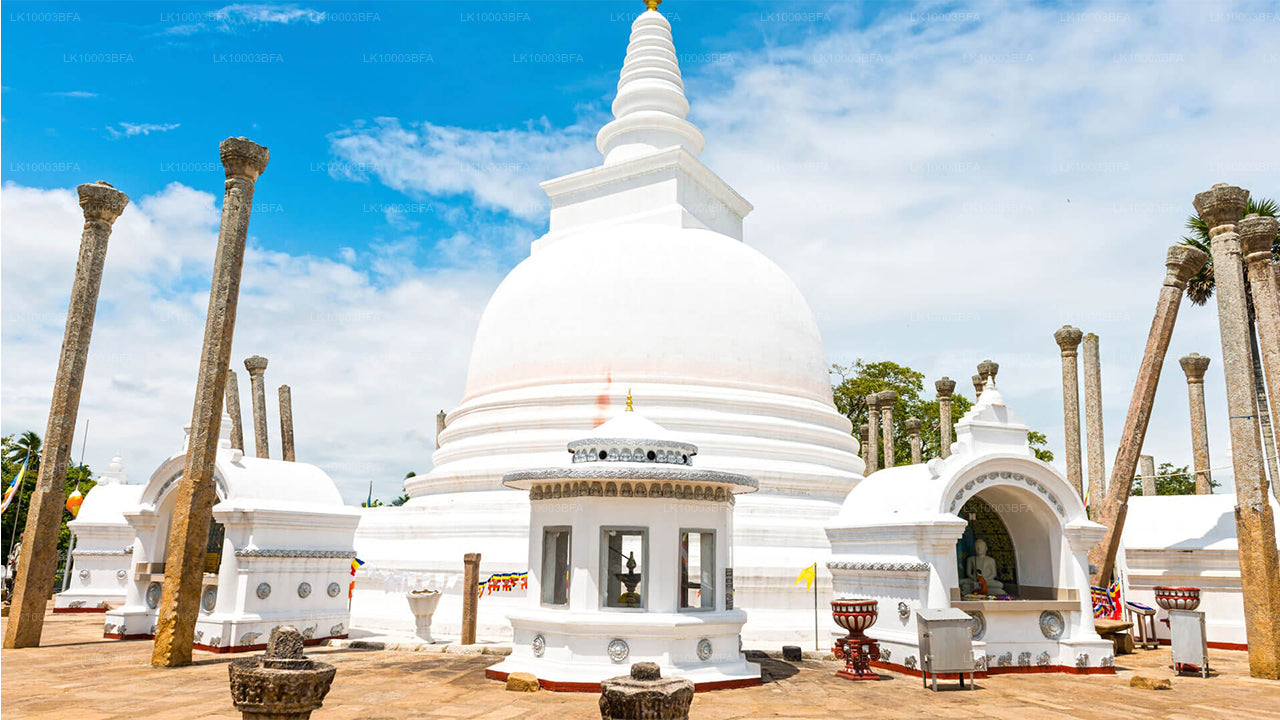 Buddhistische Pilgerreise (7 Tage)