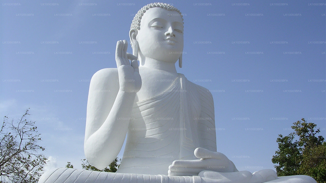 Buddhistische Pilgerreise (7 Tage)