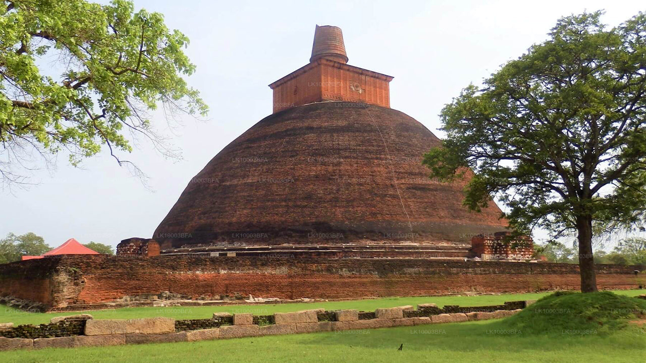Buddhistische Pilgerreise (7 Tage)