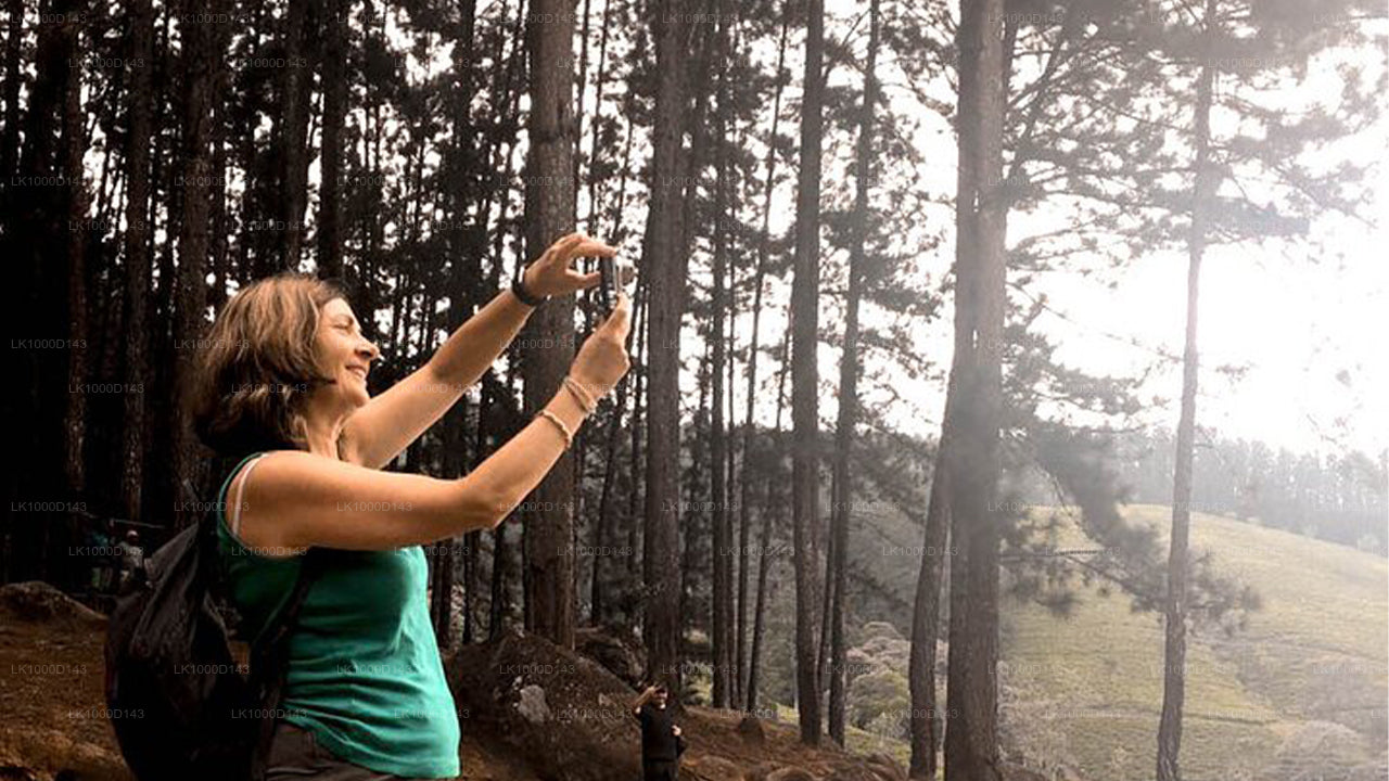 Sri Lanka Halal (Islamische) Tour (6 Tage)