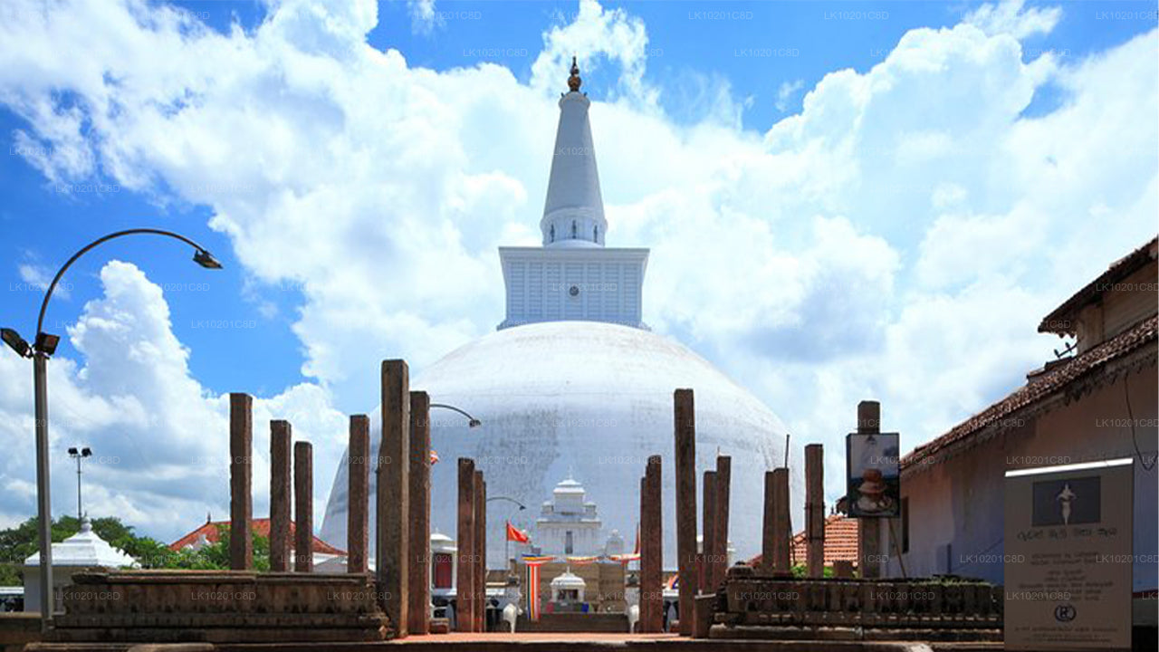 Wilpattu und Anuradhapura ab Colombo (2 Tage)