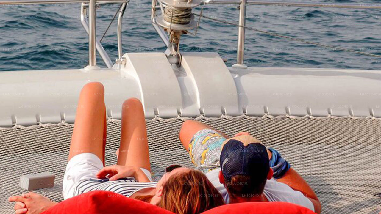 Segelurlaub in Jaffna (4 Tage)