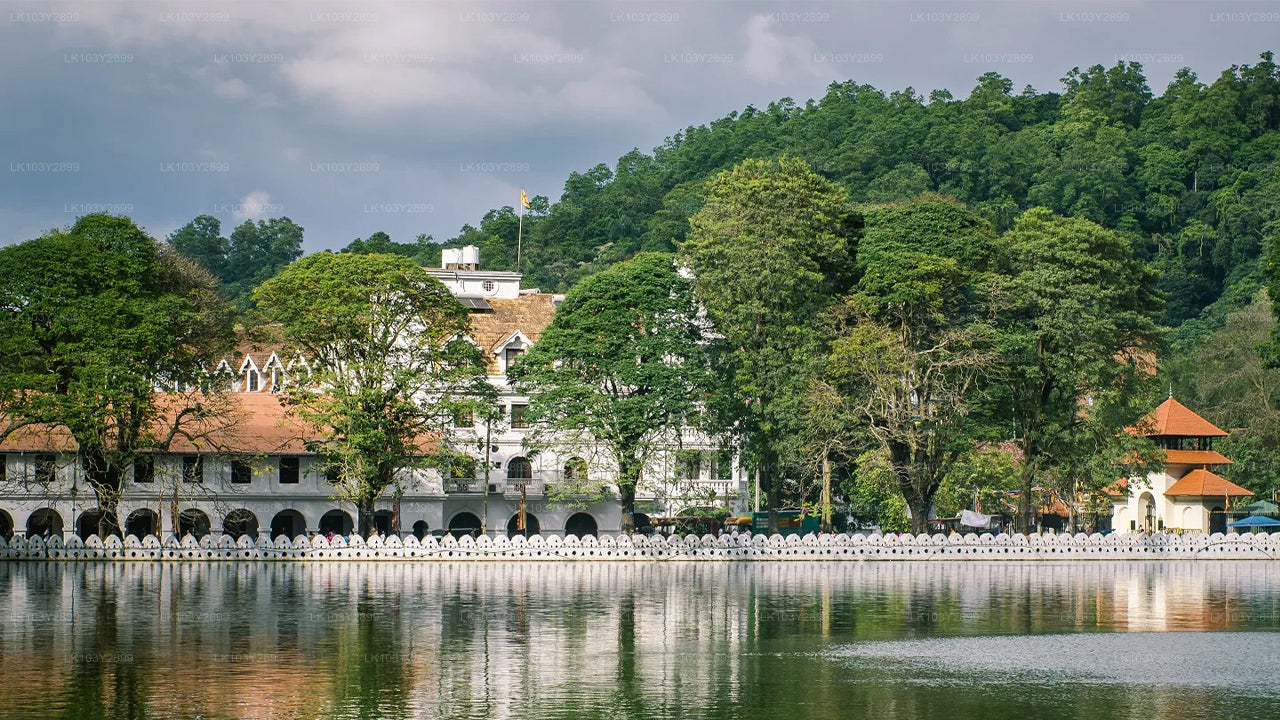 Entdecken Sie Sri Lanka von Colombo aus (4 Tage)