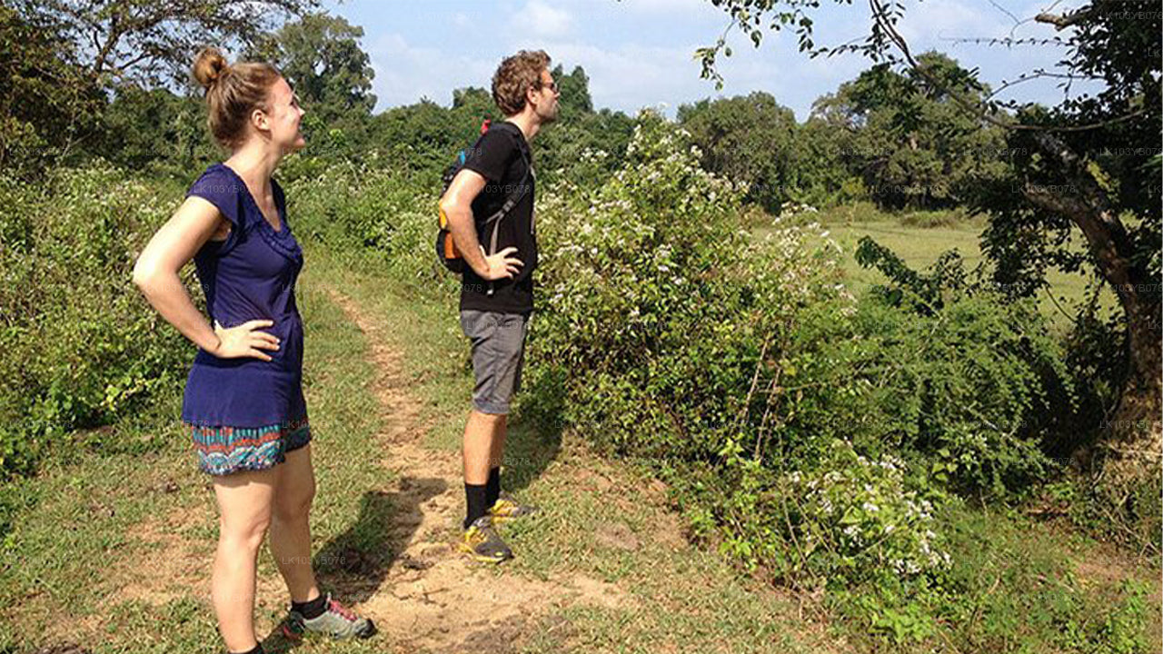 Land- und Landschaftstour durch Sri Lanka (4 Tage)