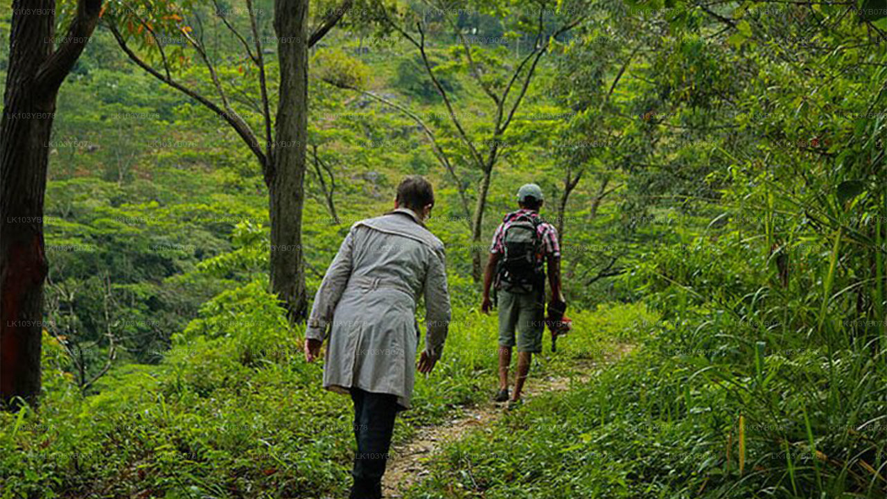 Land- und Landschaftstour durch Sri Lanka (4 Tage)