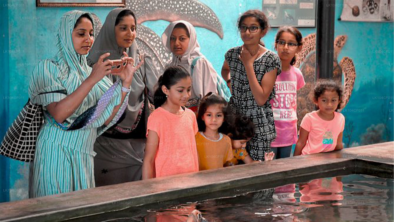 Naturfreuden (4 Tage)