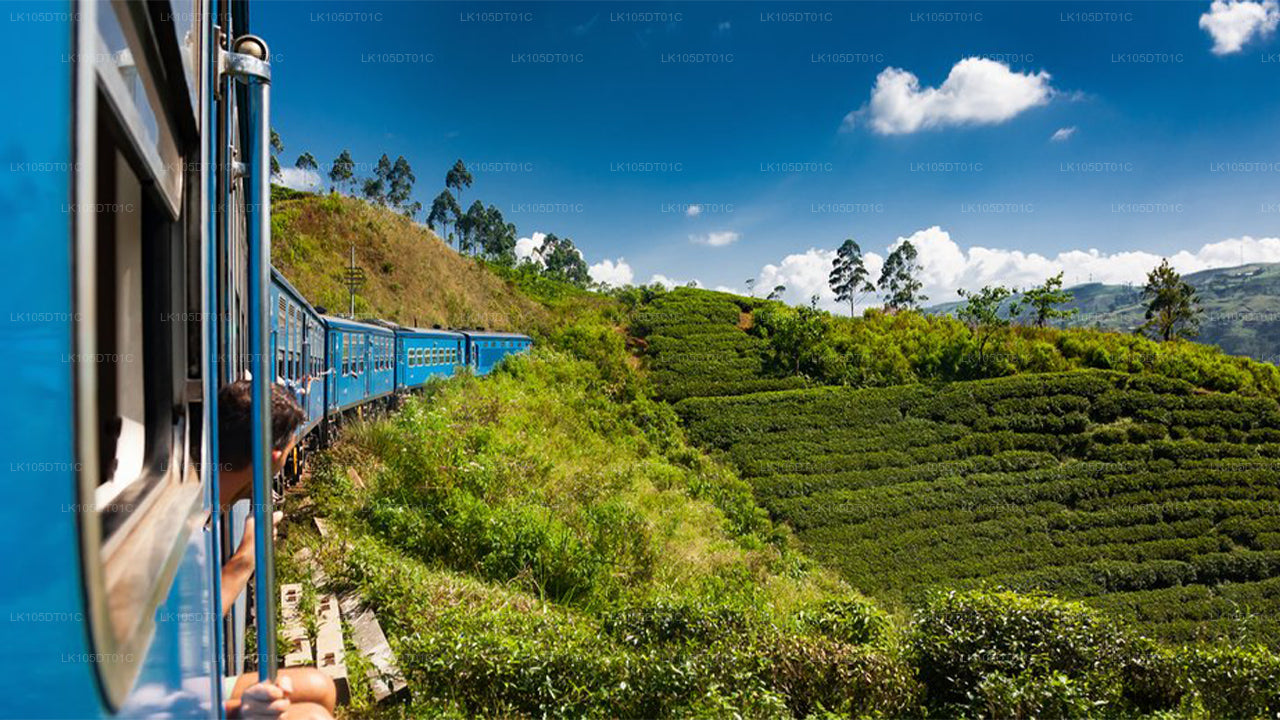 Ausflug ins Hügelland mit dem Zug (5)