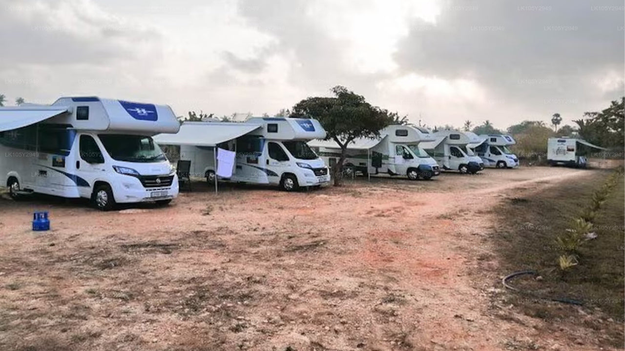 Serendib mit dem Wohnmobil entdecken (6 Tage)