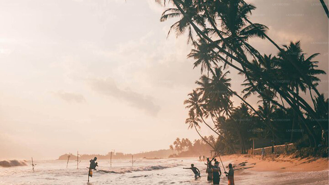 Fototour durch Sri Lanka (6 Tage)