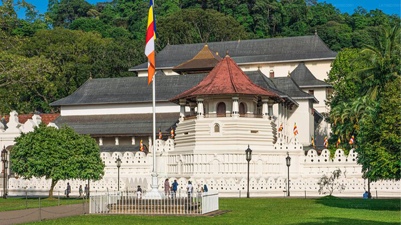 Fototour durch Sri Lanka (6 Tage)