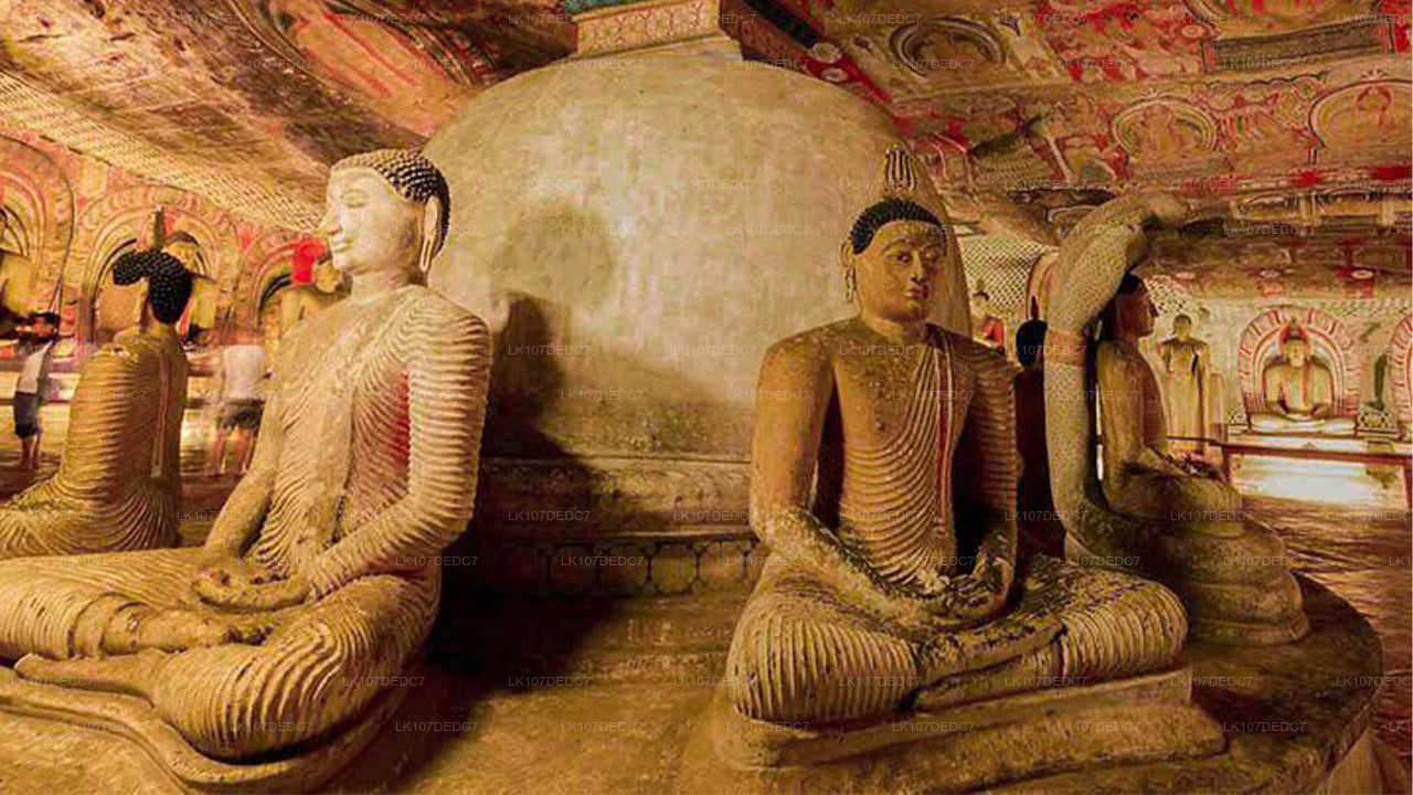 Fotoreise Sri Lanka (7 Tage)