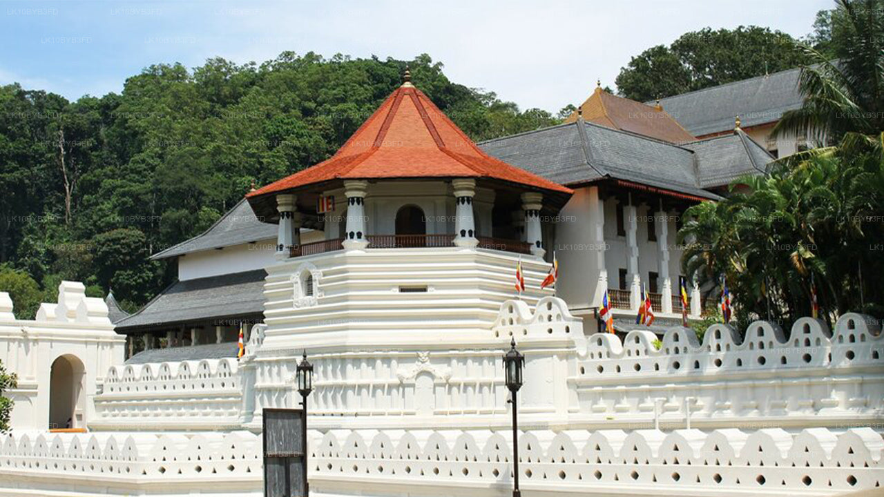 Buddhistische Pilgerreise (12 Tage)