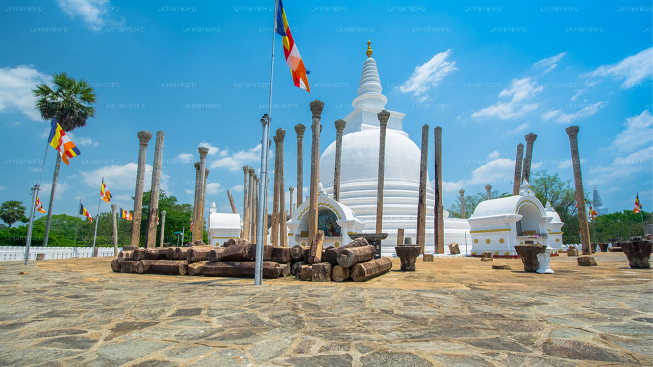Buddhistische Pilgerreise (12 Tage)
