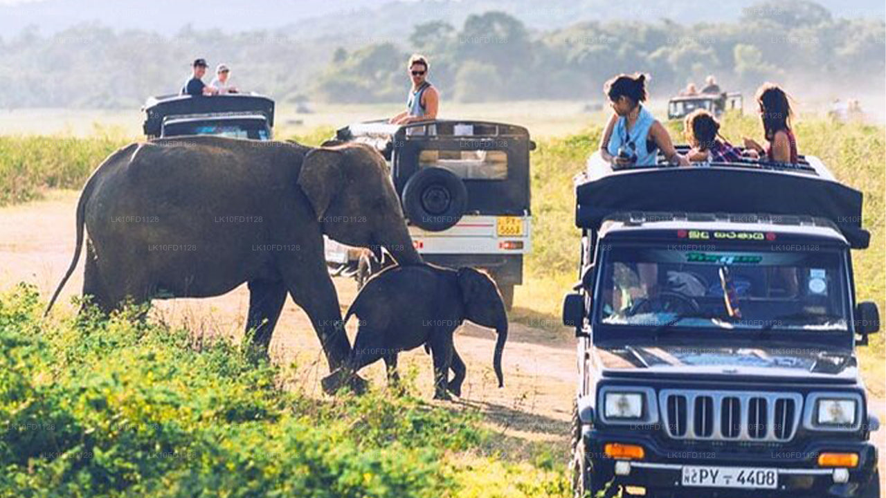 Wildtiertour mit Vögeln und Säugetieren (15 Tage)