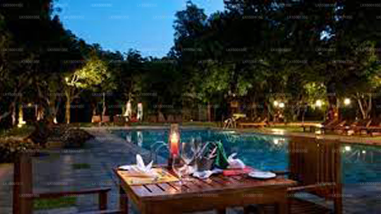 Die Naturparkvilla, Sigiriya