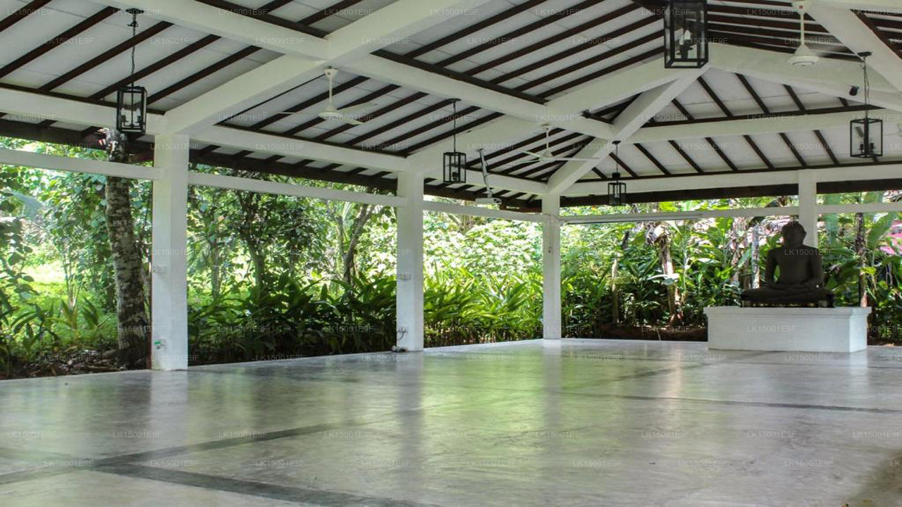 Die Plantation Villa, Kalutara