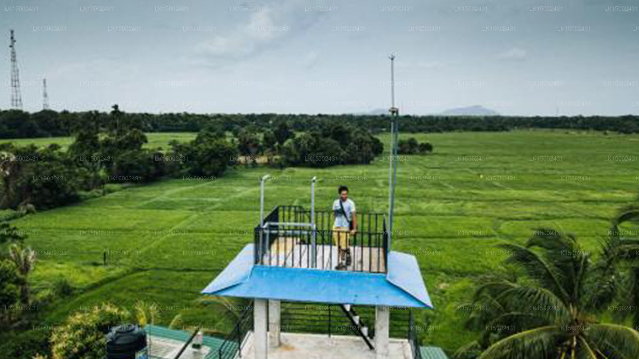 Der Himmel auf den Reisfeldern, Anuradhapura