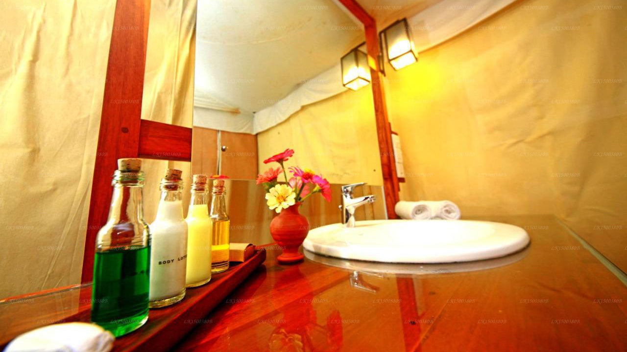 Das Yala-Abenteuer, Tissamaharamaya