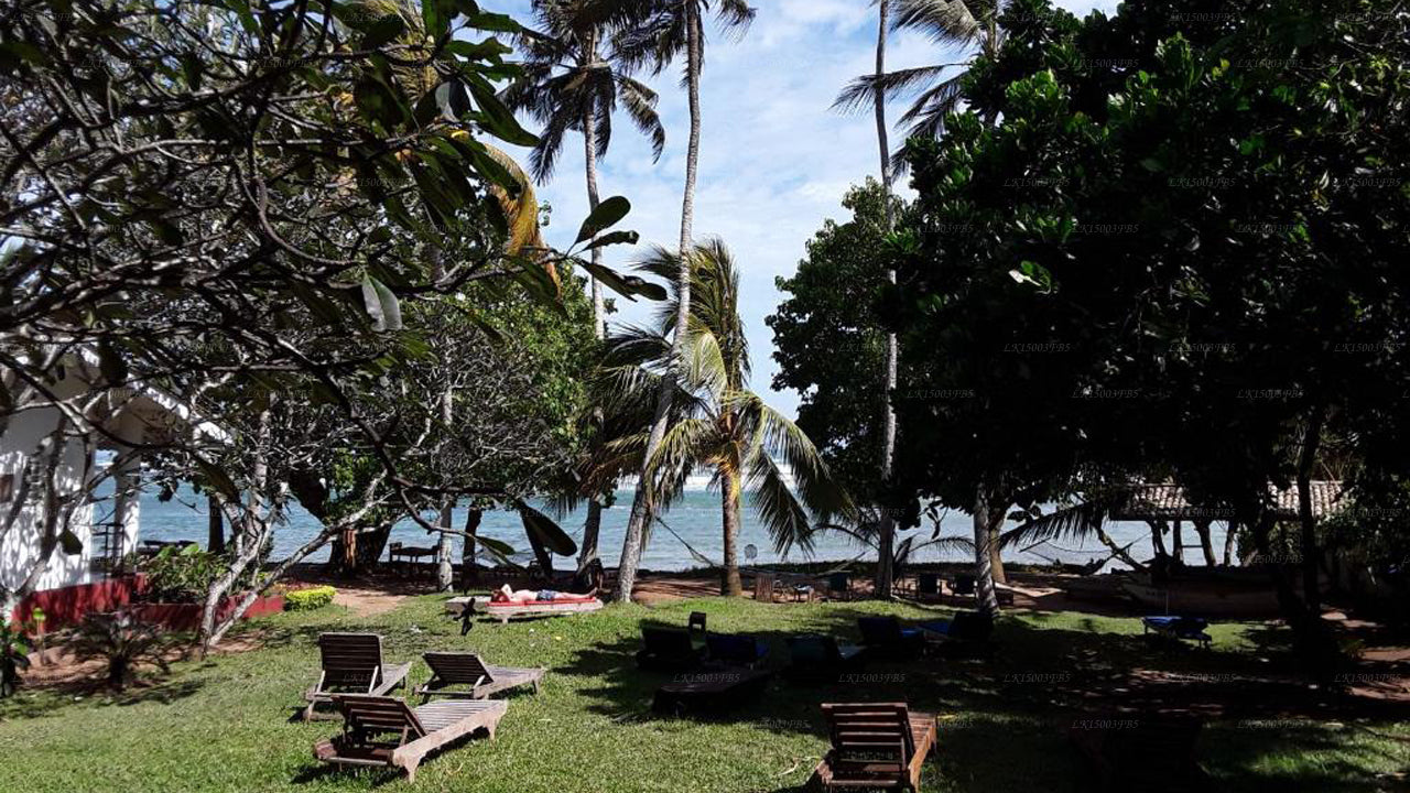 Palmenvilla, Mirissa