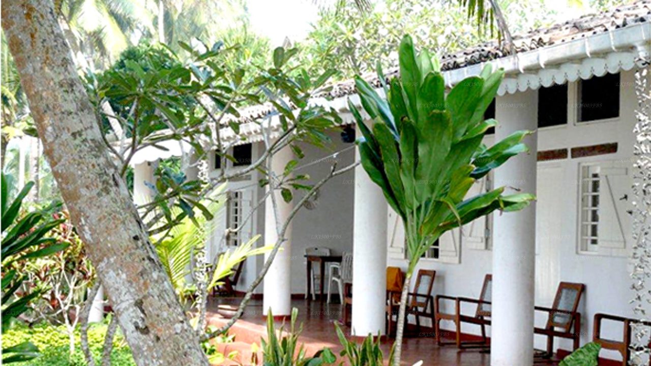 Palmenvilla, Mirissa