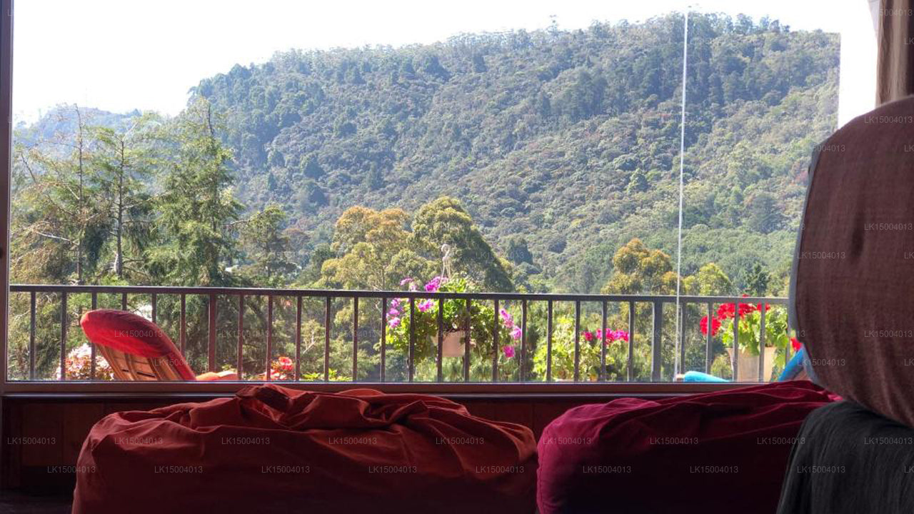Taubennest, Nuwara Eliya