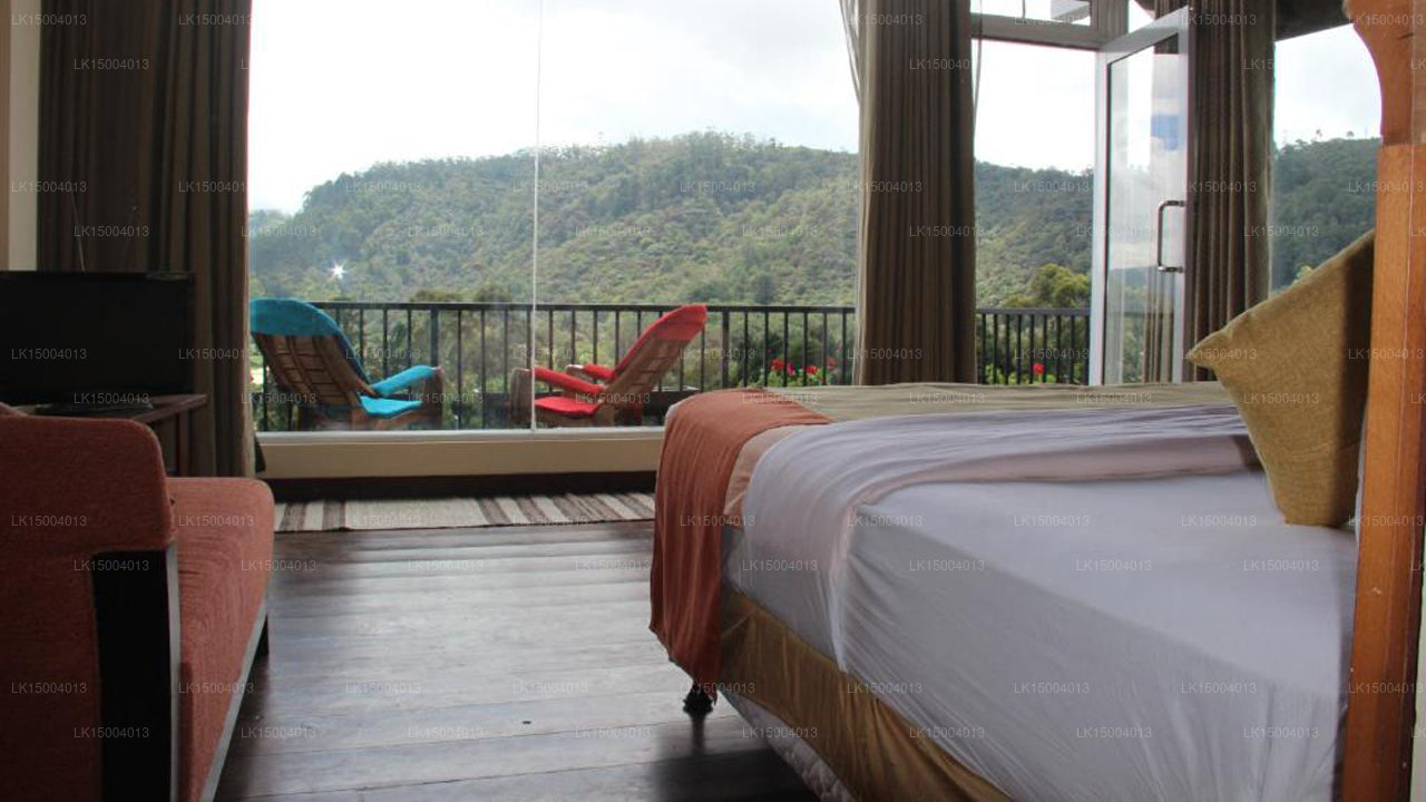 Taubennest, Nuwara Eliya