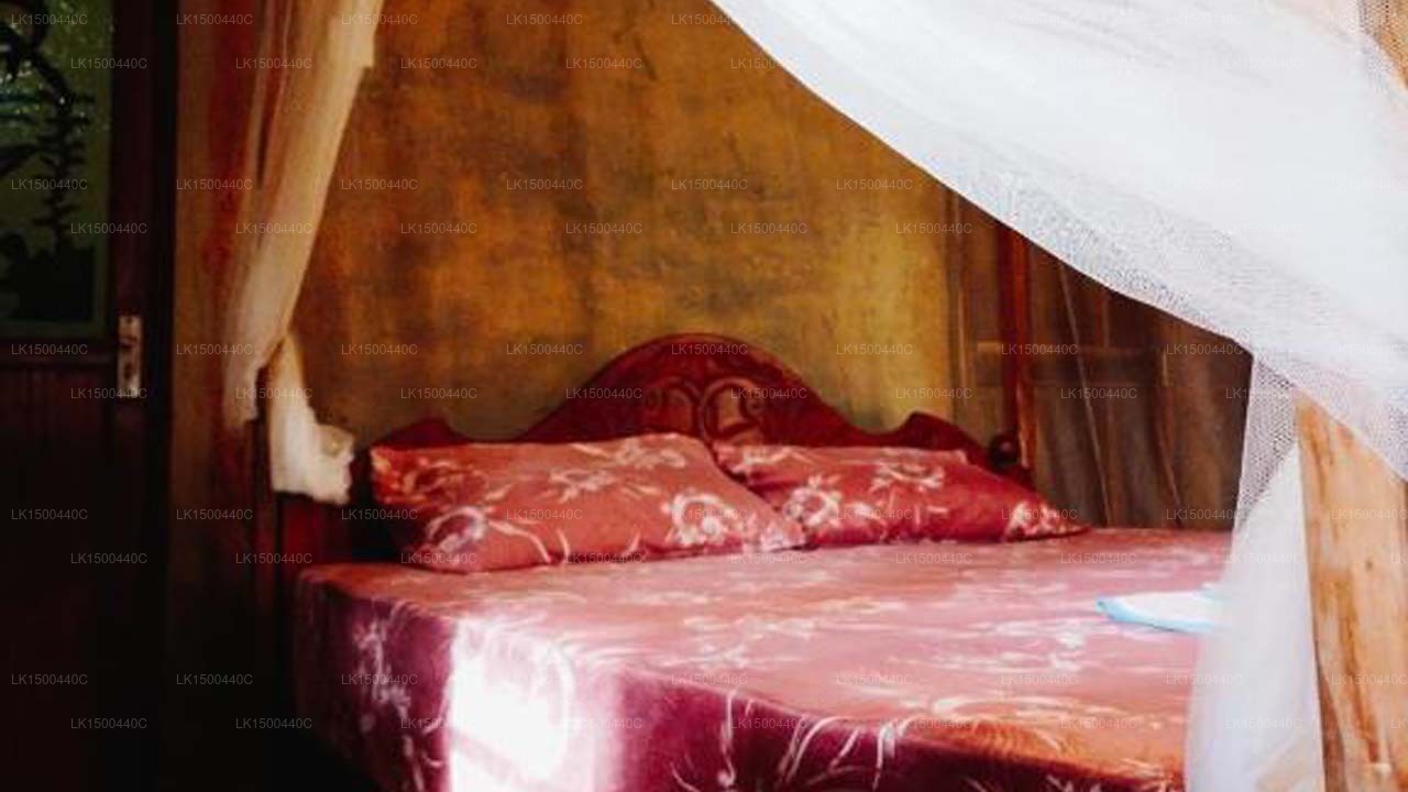 Versteckter Brunnen Hiriketiya, Dikwella