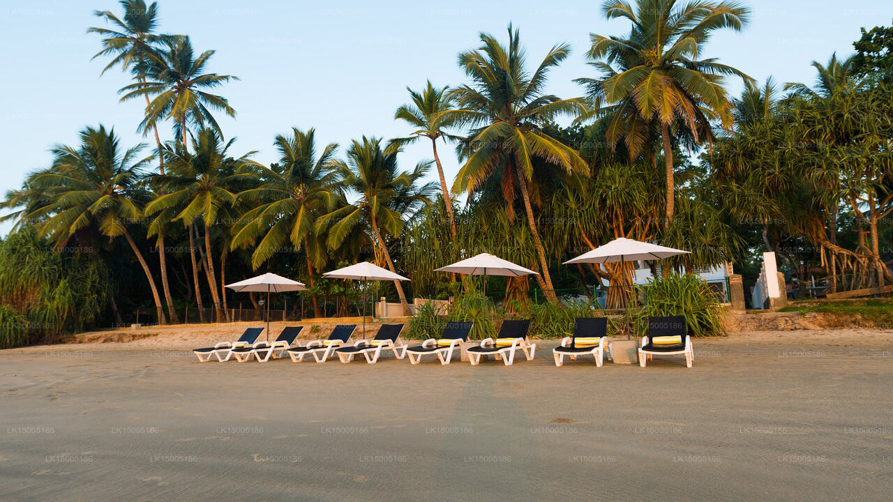 Taru Villas – Das Tangalle Social, Tangalle