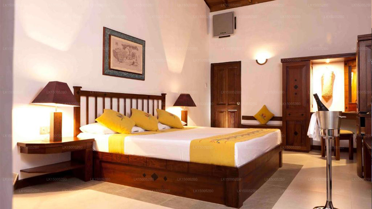 Amaya-See, Dambulla