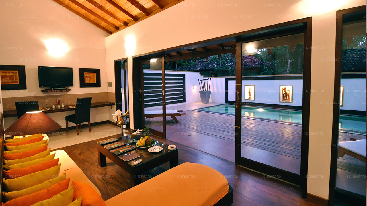 Amaya-See, Dambulla