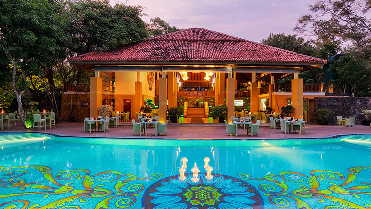 Amaya-See, Dambulla