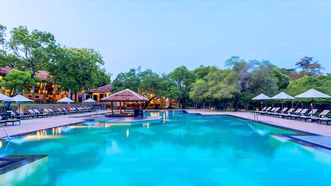Amaya-See, Dambulla