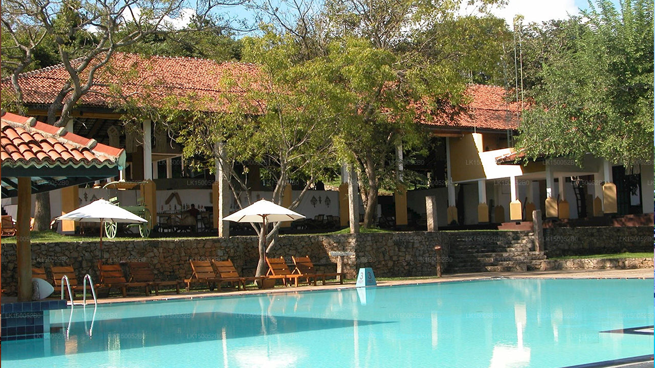 Amaya-See, Dambulla
