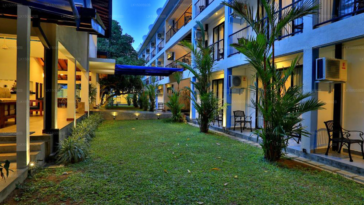 Das Blue Wave Hotel, Arugam Bay