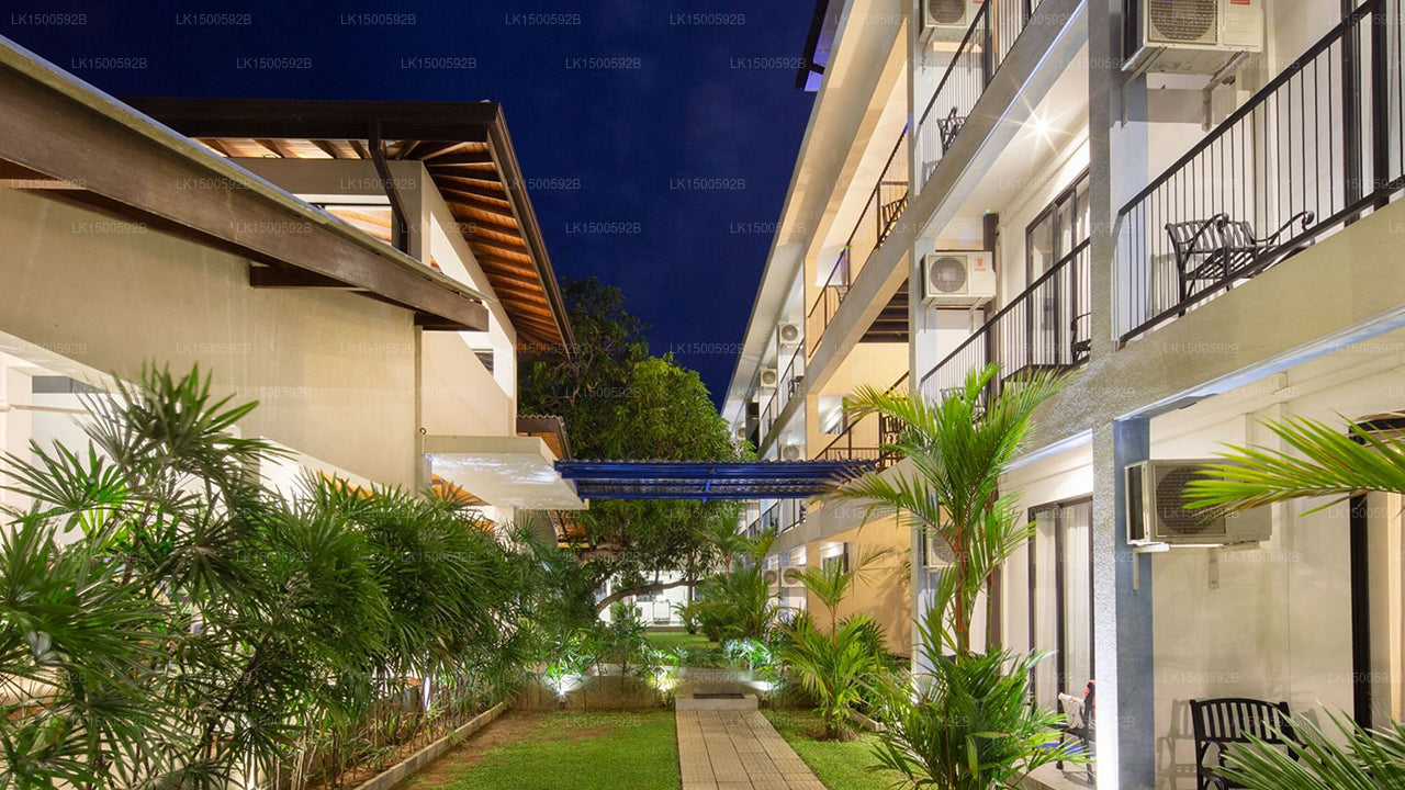 Das Blue Wave Hotel, Arugam Bay