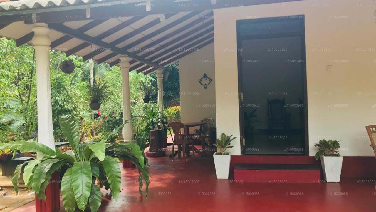 Bungalow auf der Elefantenseite, Udawalawe