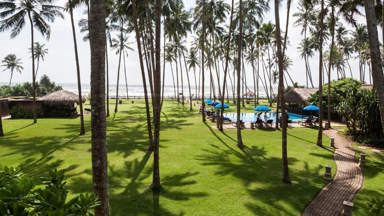 Reef Villa und Spa, Wadduwa