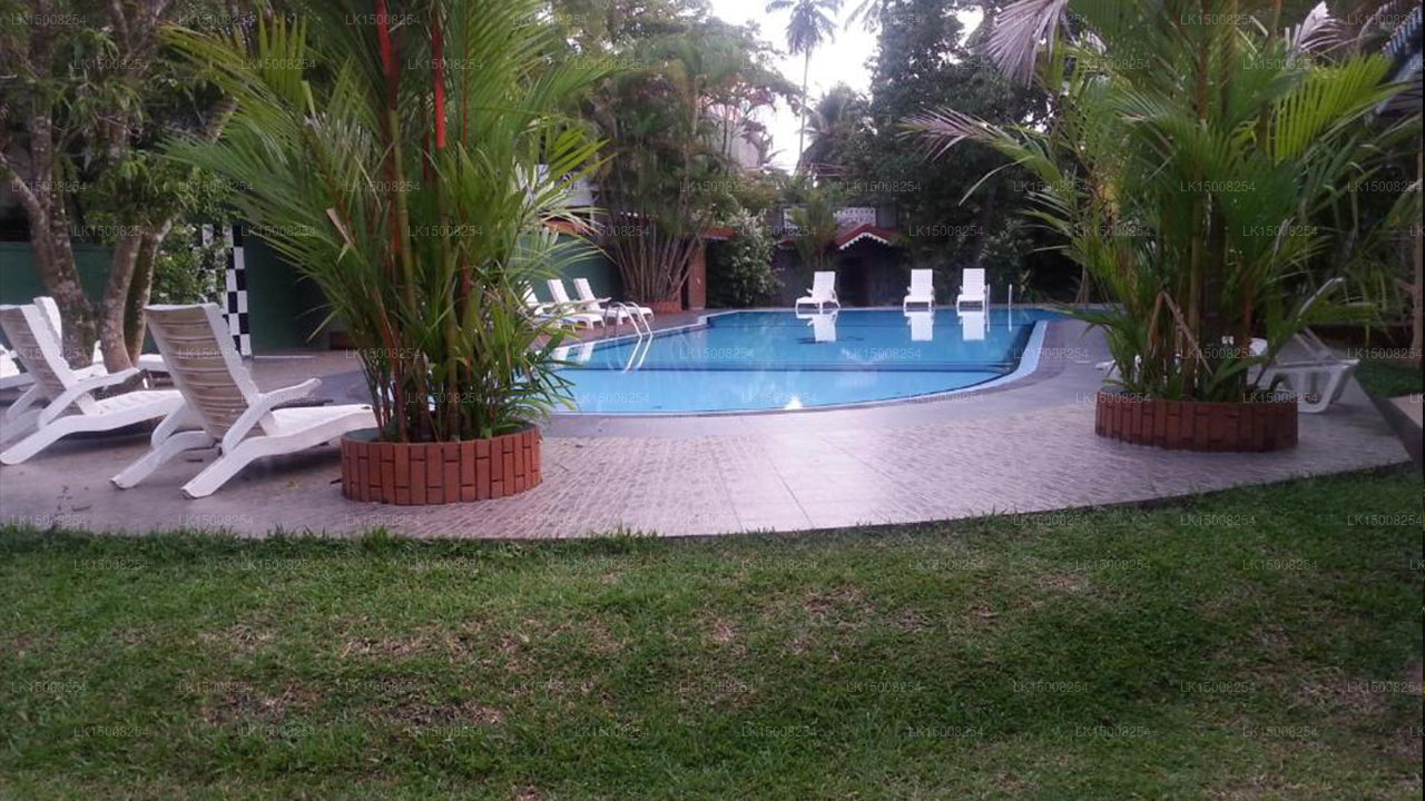 Bougain-Villa