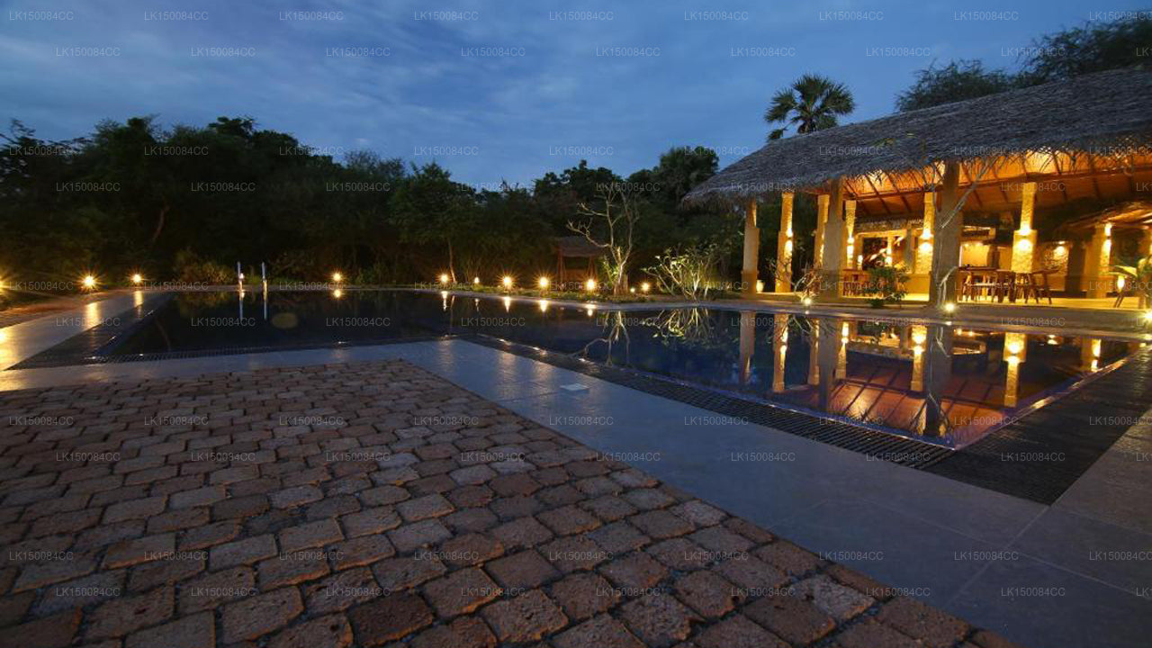 Cloud Nine Wilpattu von Aaradhya, Wilpattu