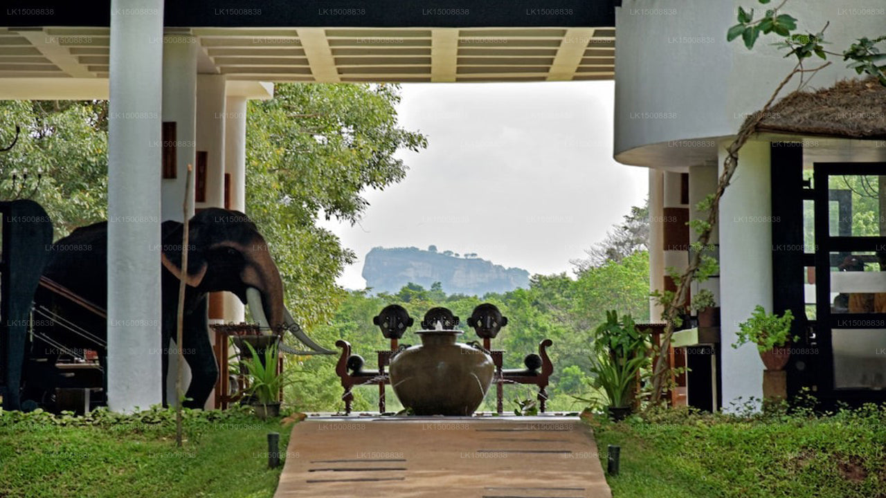 Der Elefantenkorridor, Sigiriya