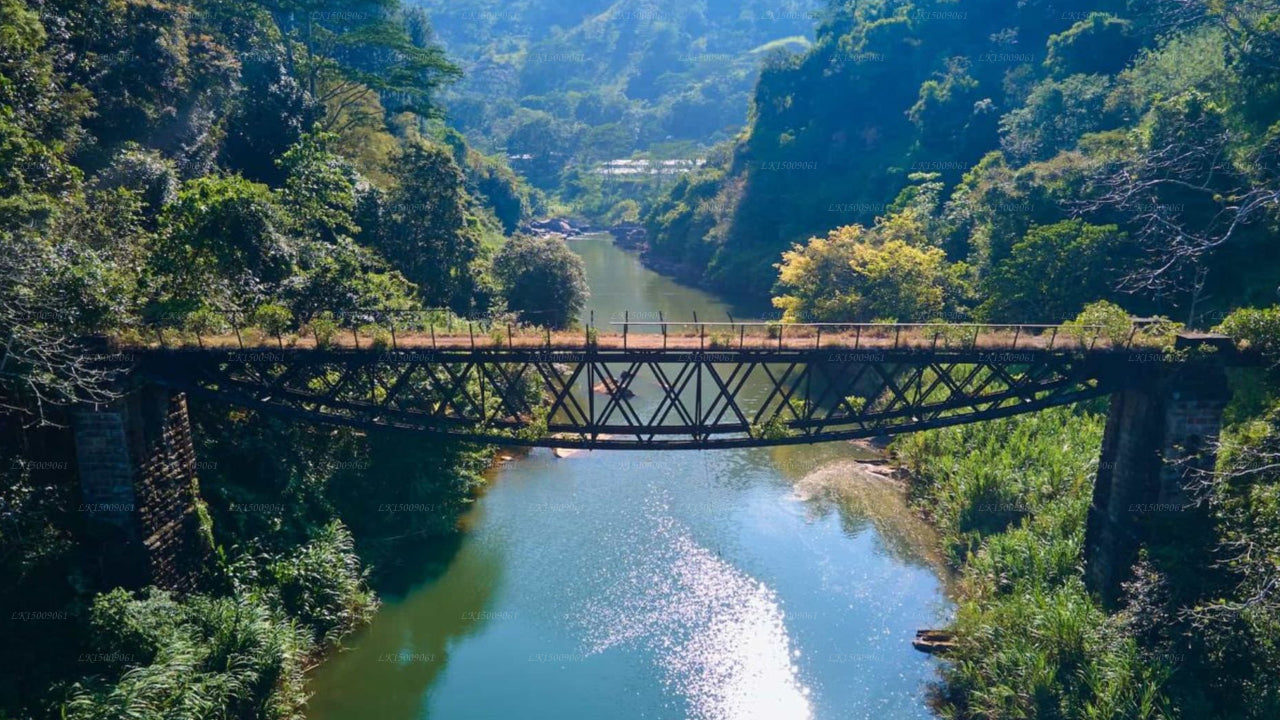 Ganzheitliche Villen River, Kandy